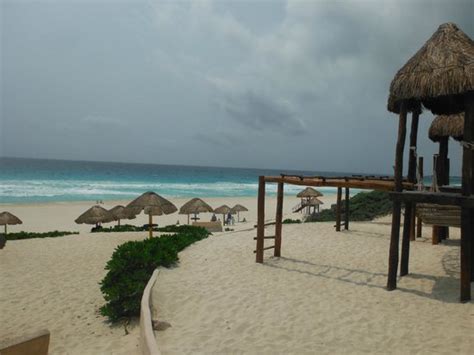 ACCESO GRATIS   Picture of Playa Delfines, Cancun ...