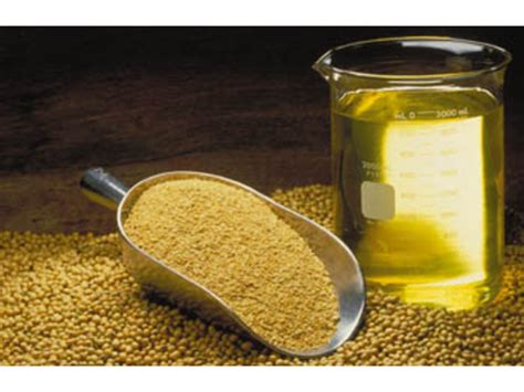 Aceite de Soya o Soja: Conoce los beneficios de consumirlo