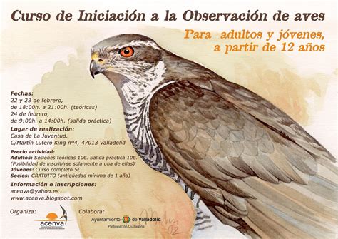 ACENVA: Curso iniciación a la observación de aves