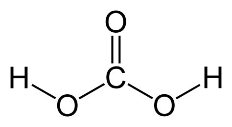 Acido carbonico   Wikipedia