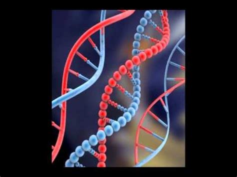 acido nucleico biologia.wmv   YouTube