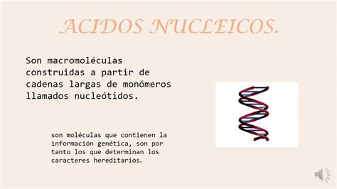 Ácido nucleicos   Biomoleculas orgánicas   YouTube