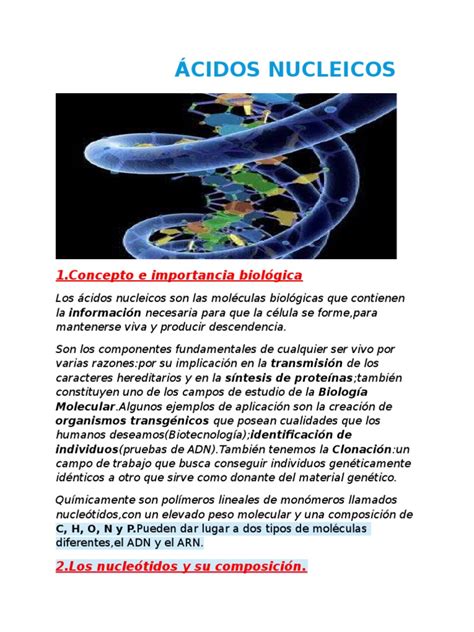 Ácidos nucleicos | Ácidos nucleicos | ADN
