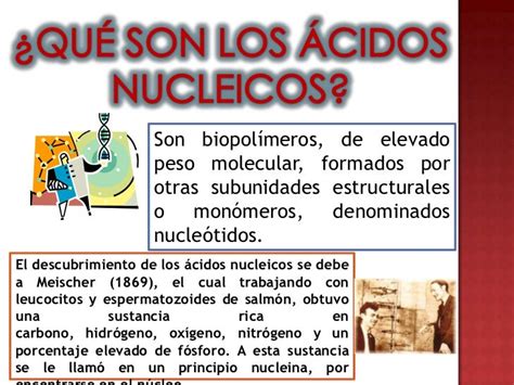 Ácidos Nucleicos: ADN y ARN