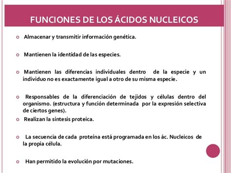 Acidos nucleicos bioquimica