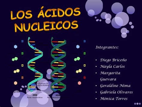 áCidos nucleicos