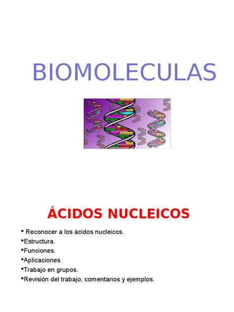 Acidos nucleicos.ppt