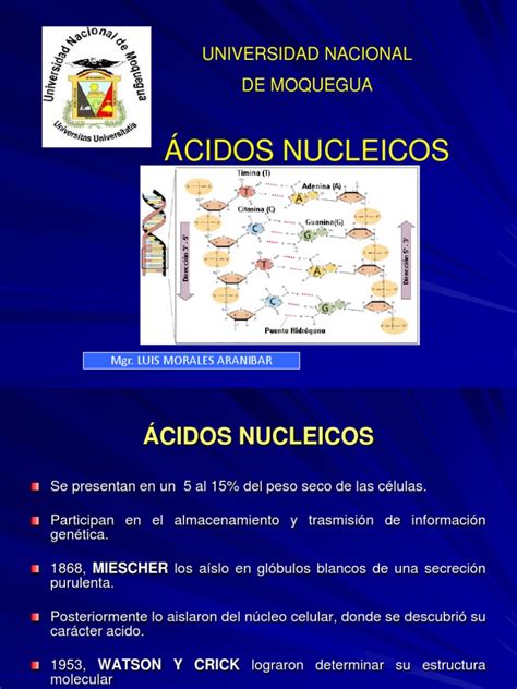 acidos nucleicos.ppt