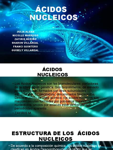 ACIDOS NUCLEICOS.pptx | Ácidos nucleicos | Adn