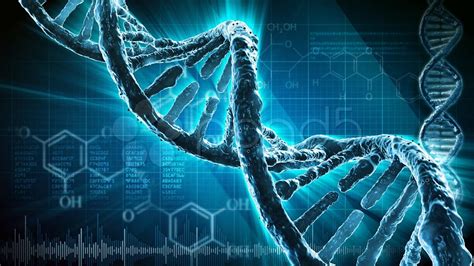 Ácidos Nucleicos Qué son, Funciones y Estructura   ADN y ARN