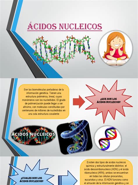 Ácidos nucleicos | Rna | Ácidos nucleicos