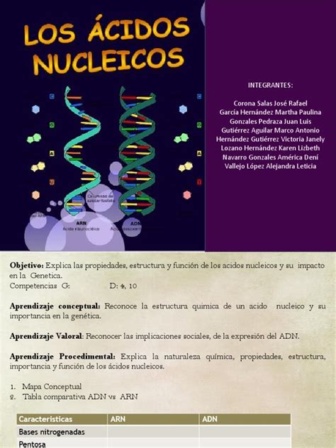 ACIDOS NUCLEICOS | Rna | Ácidos nucleicos