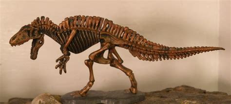 Acrocanthosaurus Skeleton  Kaiyodo Dinotales Series 3 ...