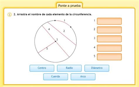 Actividad de Circunferencia y círculo | Circulo y circunferencia ...