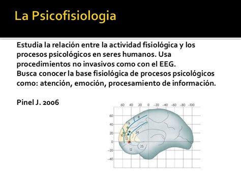 Actividad Fisiologica Definicion   SEONegativo.com
