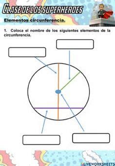 Actividad online de La circunferencia y el círculo para 3º. Puedes ...