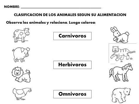 Actividades De Animales Carnivoros Herbivoros Y Omnivoros ...
