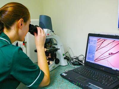 Actividades de Laboratorio para Uso de Microscopio ...