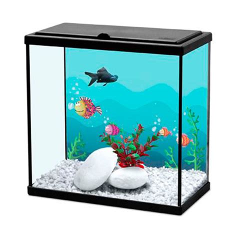 Acuario Kiwoko Start 30 para peces de agua fría | Kiwoko