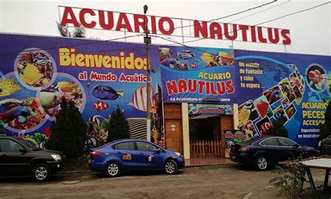 Acuario Nautilus entrada para niño o adulto + alimento ...