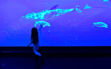 Acuario    ¡Ven a Atlantis Aquarium Madrid en Centro ...