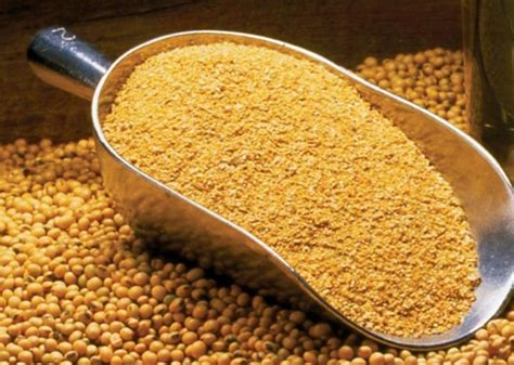 Acuerdo histórico: la harina de soja argentina ingresará a China en ...