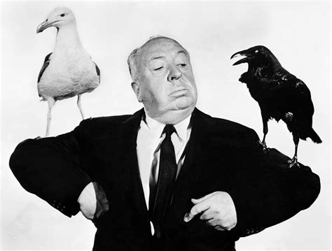 Adaptación de  Los pájaros  de Alfred Hitchcock como serie ...