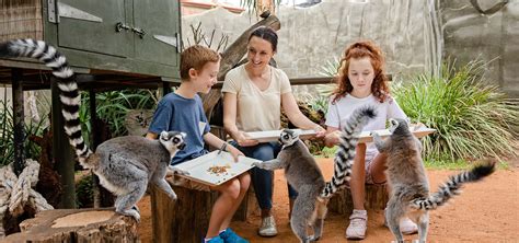 Adelaide Zoo wins at Tourism Awards and enters Hall of Fame