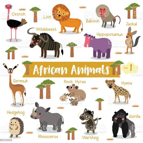 African Animals Cartoon With Animal Name Vector ...