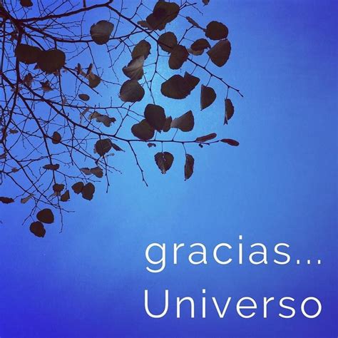 Agradecido al Universo por el aquí y ahora #agradecimiento #gracias # ...