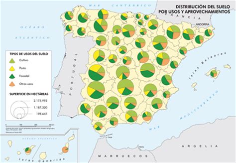 Agricultura: AGRICULTURA EN ESPAÑA