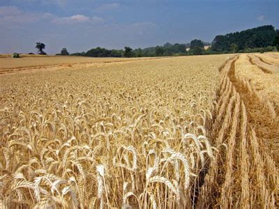 Agricultura de secano, conservación de suelo y agua – Info ...