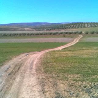 Agricultura de secano. | Rutas y Paisajes