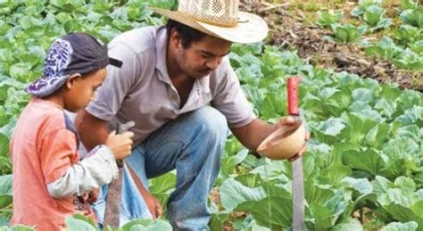 Agricultura familiar, no explotación: Sagarpa   2000Agro Revista ...