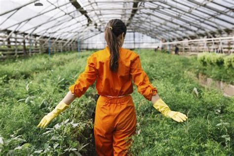 Agricultura, Ganadería y Desarrollo Rural concede más de 9 ...