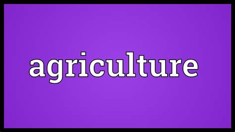 Agriculture Meaning   YouTube