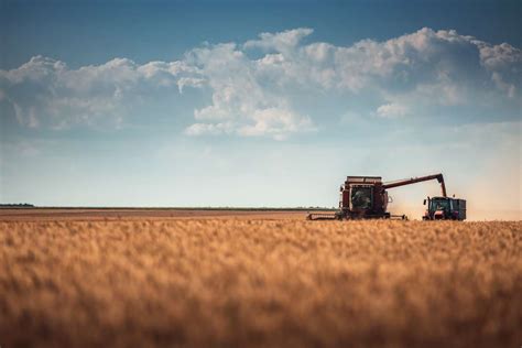 AGRO – La Consejería de Agricultura comienza a abonar las ayudas a la ...