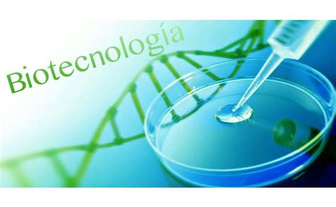 AgroAvances .:. ¿Por qué es segura la biotecnología?