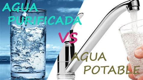 Agua Potable VS Agua Purificada ¿Cual Prefieres ?   YouTube