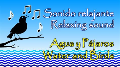 Agua y Pájaros, sonido relajante  Water and Birds Relaxing sound   YouTube