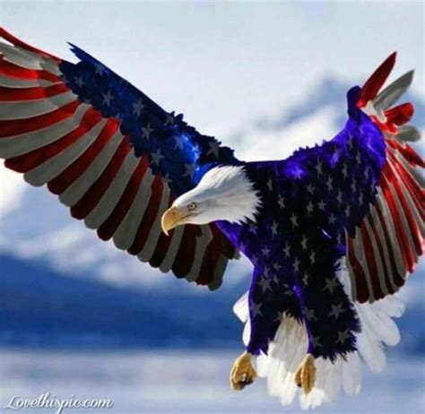 AGUILA AMERICANA | capitan | Bandera americana, Estados ...