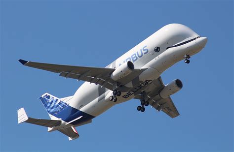 Airbus Beluga XL   Wikipedia