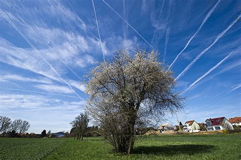 Airplane Contrails  Climate Impact to Triple by 2050 ...