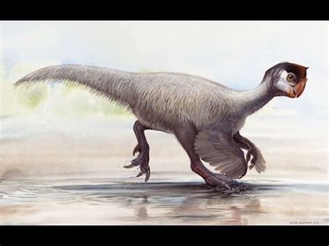 Ajacingenia | Enciclopedia sobre Dinosaurios   YouTube