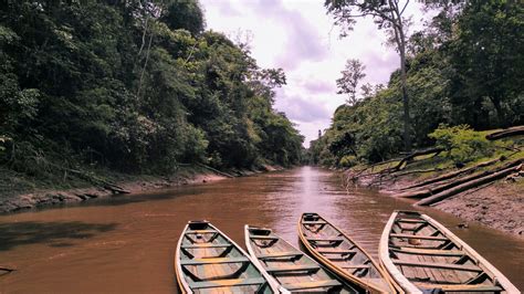 Al Amazonas desde Iquitos: 3 días en la selva | Que Te Den ...