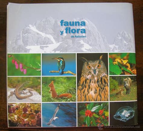 album de cromos completo: fauna y flora de astu   Comprar ...