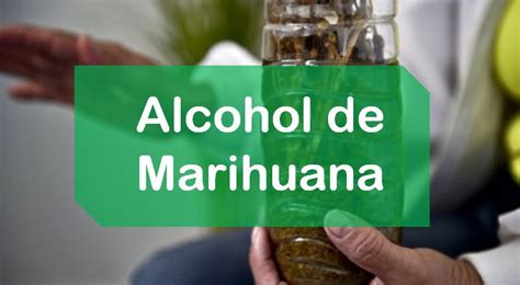 Alcohol de Marihuana【Cómo prepararla Paso a Paso Aquí】• 2019