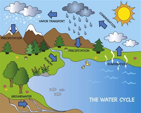 Aldaba amiga: El ciclo del agua y su influencia en el ...