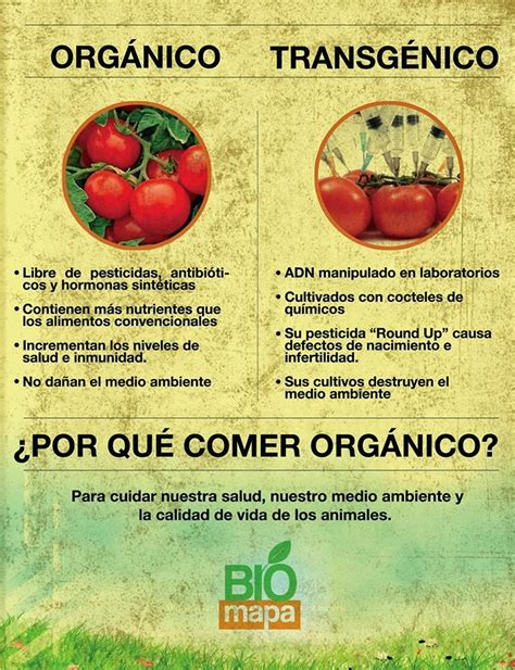 Aldea Zamá: ¿Por qué orgánico?