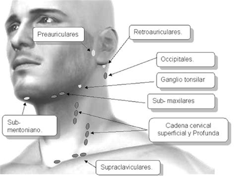 Aleana Gutierrez  Semiologia Quirurgica : El Cuello